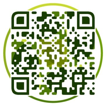 640 (1).png
